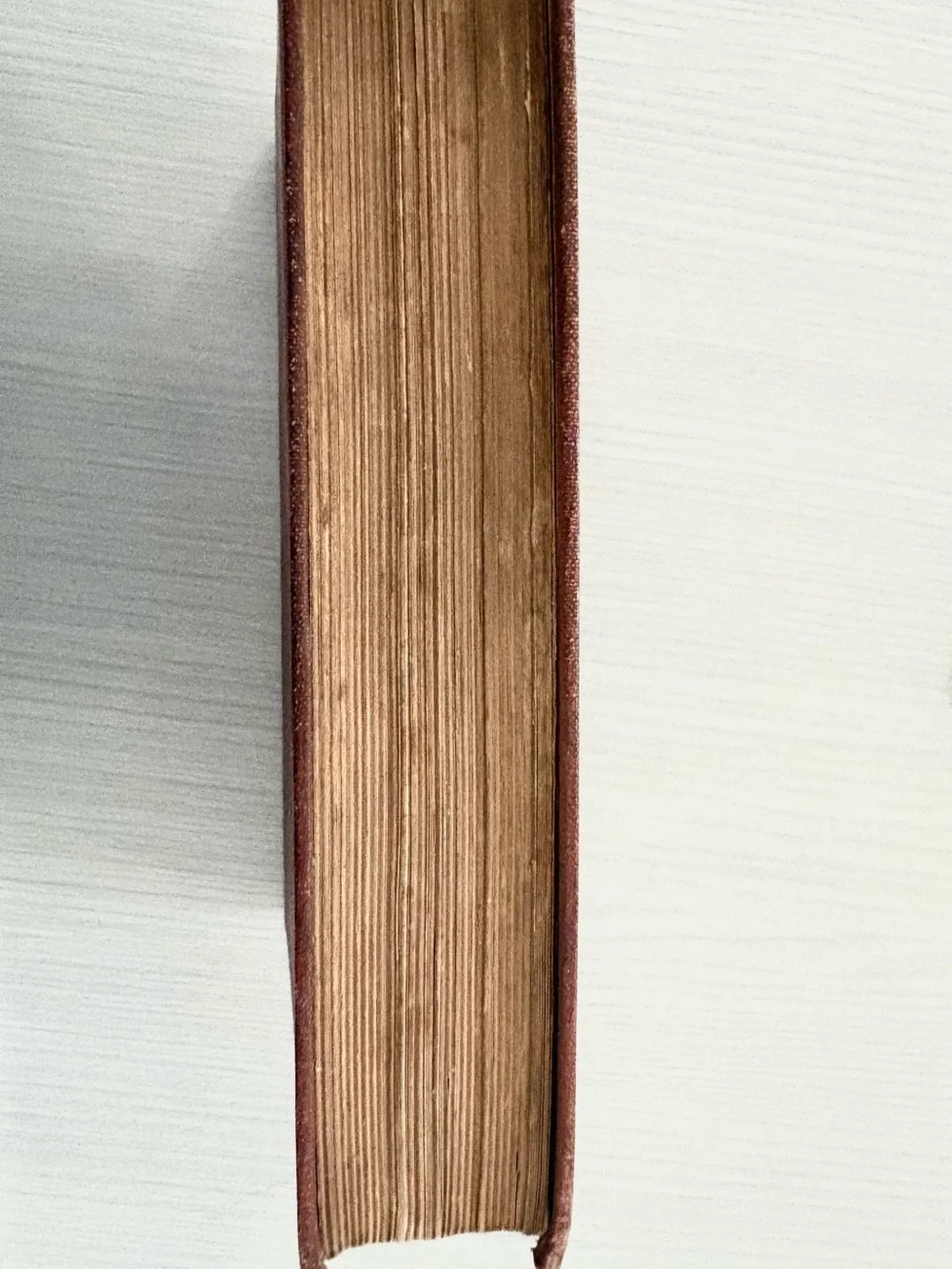 Vintage Lowneys Cook Book Hardcover circa 1912 in wonderful condition!